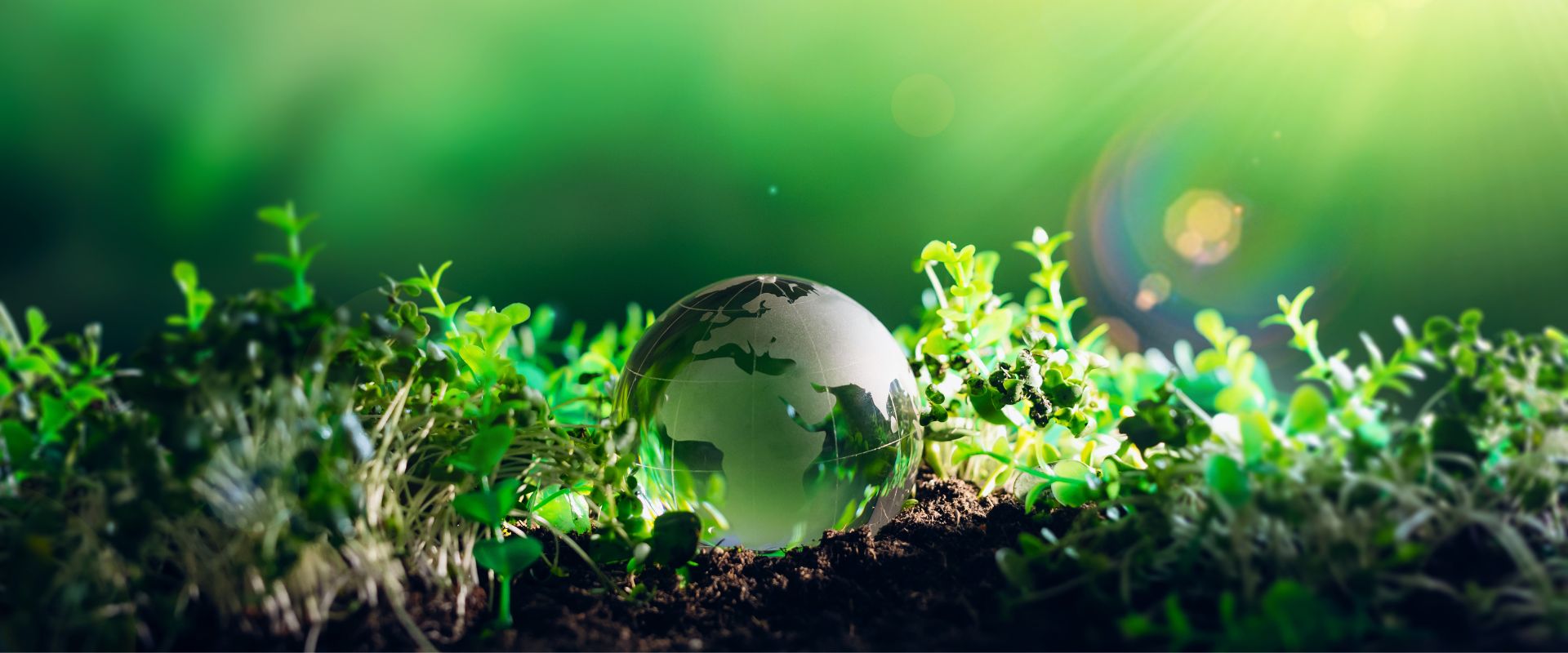 Corporate Responsibility